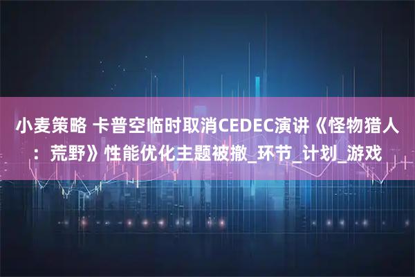 小麦策略 卡普空临时取消CEDEC演讲《怪物猎人：荒野》性能优化主题被撤_环节_计划_游戏