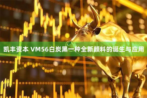 凯丰资本 VM56白炭黑一种全新颜料的诞生与应用